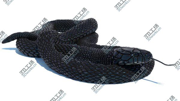 images/goods_img/20210312/3D model Egyptian Cobra Rigged Animated/3.jpg